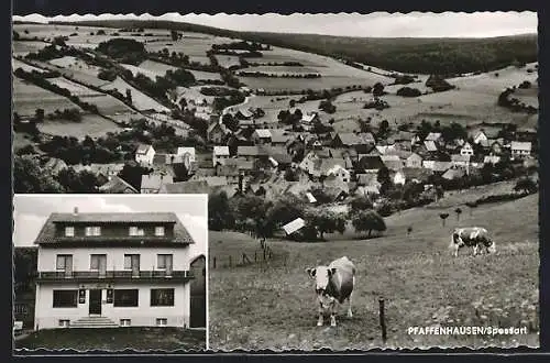 AK Pfaffenhausen /Spessart, Gasthof zur Linde, Teilansicht mit weidenden Kühen