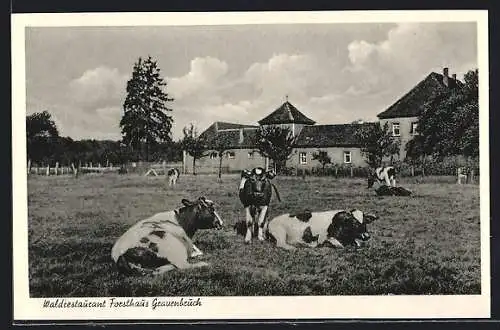 AK Neu-Isenburg, Waldrestaurant Forsthaus Gravenbruch, grasende Rinder