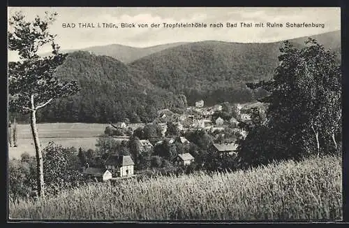 AK Bad Thal i. Thür., Blick von der Tropfsteinhöhle nach dem Ort mit Ruien Scharfenburg