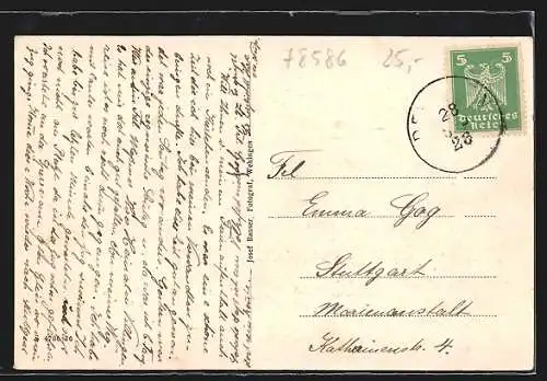 AK Deilingen, Gasthaus Adler u. Post, Totale des Ortes