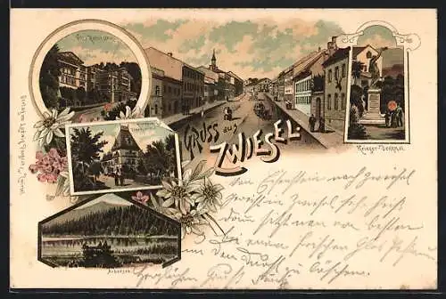 Lithographie Zwiesel / Bayern, Herrenhaus Theresienthal, Villa Rabenstein, Strassenpartie aus der Vogelschau