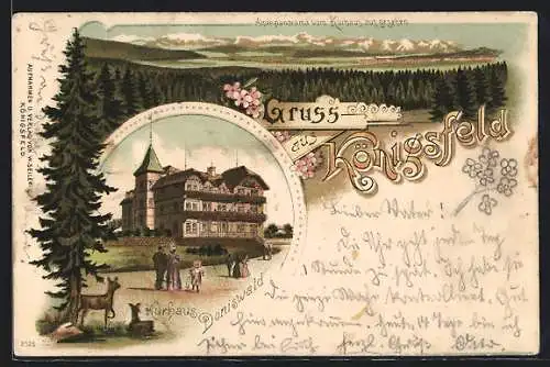 Lithographie Königsfeld / Schwarzwald, Gäste am Kurhaus Doniswald, Alpenpanorama vom Kurhaus gesehen