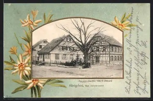Passepartout-Lithographie Königsfeld /Baden, Pension Krumm J. Reinold, Edelweiss