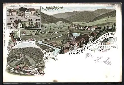 Lithographie Hammereisenbach, Gasthof zum Hammer, Blick zum Ort, Bregenbach, Totale des Ortes, Reh