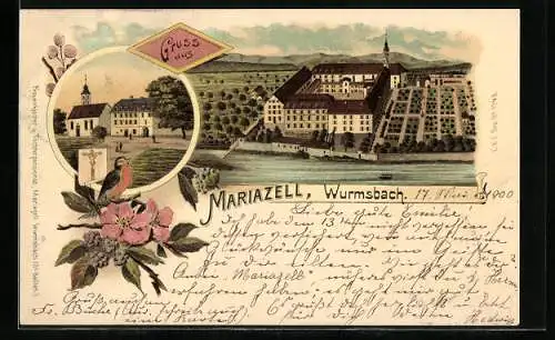 Lithographie Wurmsbach, Kloster Mariazell aus der Vogelschau