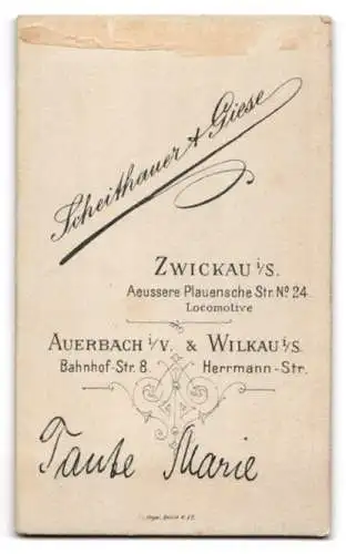 Fotografie Scheithauer & Giese, Zwickau i. S., Auessere Plauensche Str. 24, Tante Marie im gepunkteten Kleid