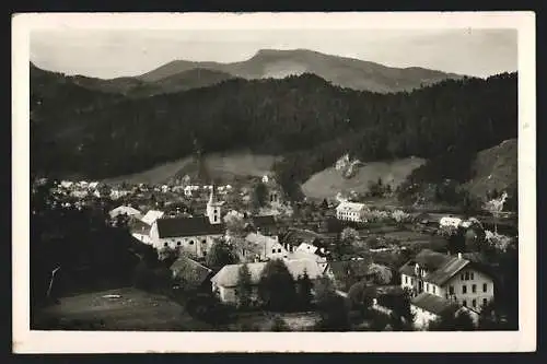 AK Hohenberg, Ortsansicht mit Reisalpe