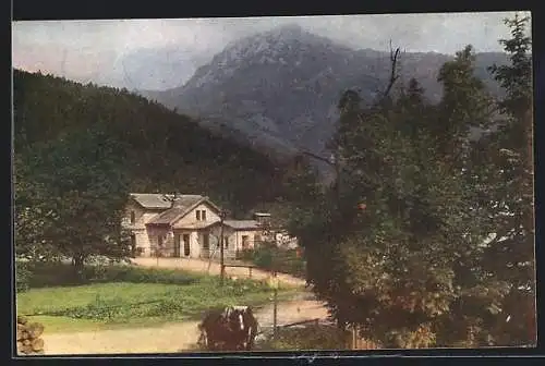 AK St. Aegyd am Neuwalde, Kernhof gegen Gippel