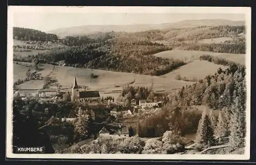 AK Kaumberg, Ortsansicht mit Kirche aus der Vogelschau