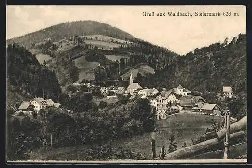 AK Waldbach, Gesamtansicht mit Umgebung