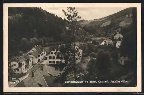 AK Waldbach /Oststmk., Gasthof, Ortsansicht aus der Vogelschau