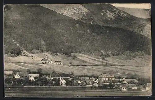 AK Willendorf a. d. Schneebergbahn, Ortsansicht aus der Vogelschau