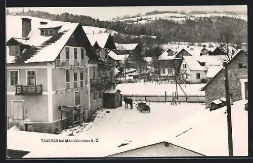 AK Tauchen b. Mönichkirchen /N.-Ö., Ortspartie im Schnee mit Pferdewagen