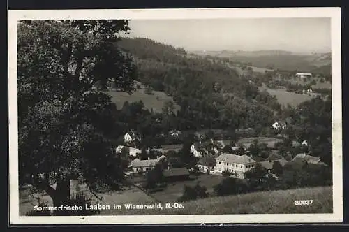 AK Laaben im Wienerwald /N.-Oe., Ortsansicht aus der Vogelschau