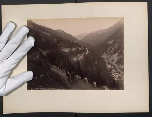 Fotografie Knud Knudsen, Bergen, Ansicht Telemarken / Norwegen, Parti Af Tokedalen, Kutsche auf einer Passstrasse