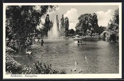 AK Zweibrücken, Rosengarten, Gewässer mit Fontäne