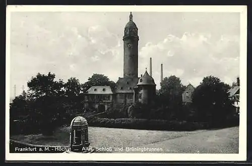 AK Frankfurt-Höchst, Altes Schloss und Brüningbrunnen