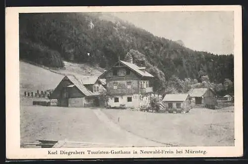 AK Neuwald-Frein bei Mürzsteg, Touristen-Gasthaus Karl Diegruber