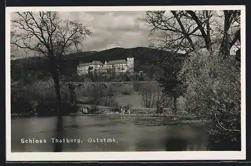 AK Dechantskirchen /Ost-Stmk., Schloss Thalberg mit Flusspartie