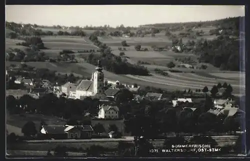 AK Bad Waltersdorf /Ost-Stmk., Ortsansicht im Sonnenschein