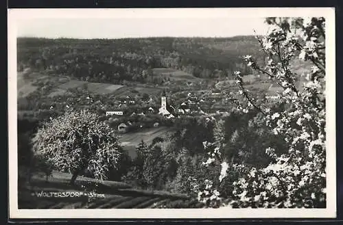 AK Bad Waltersdorf, Gesamtansicht mit Blick auf die Kirche