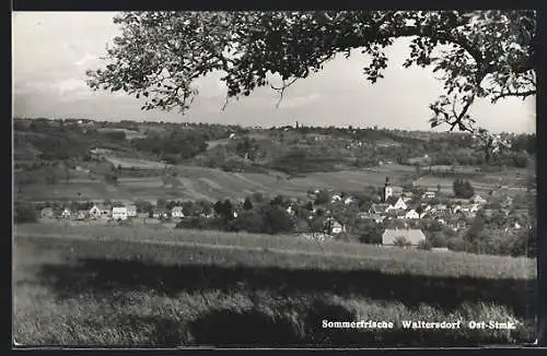 AK Bad Waltersdorf, Ortsansicht im Sonnenschein