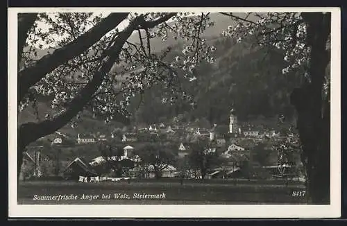 AK Anger bei Weiz i. d. Stmk., Panorama der Stadt zur Baumblüte