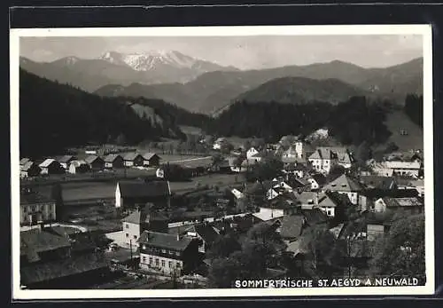 AK St. Aegyd a. Neuwald, Totalansicht mit Bergpanorama