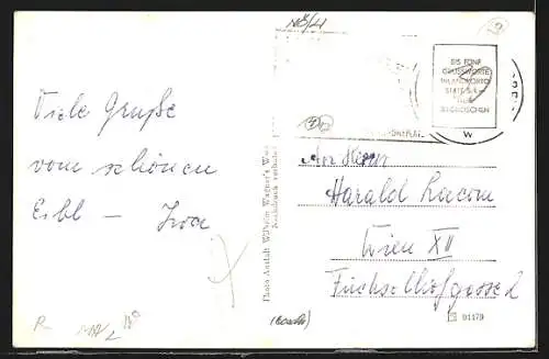 AK Türnitz, Ortspanorama mit Berglift