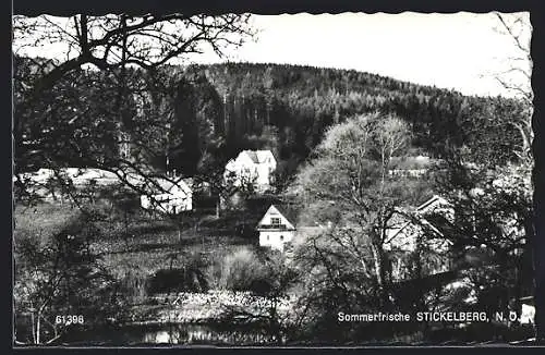 AK Hollenthon, Sommerfrische Stickelberg