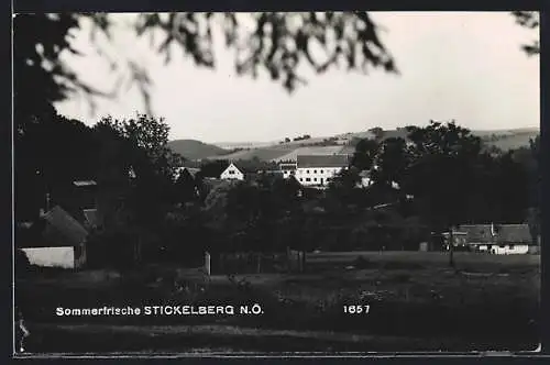 AK Hollenthon /NÖ., Sommerfrische Stickelberg