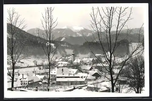 AK St. Aegyd a. Neuw., Teilansicht im Schnee