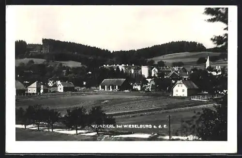 AK Weinzierl bei Wieselburg, Ortsansicht über Felder