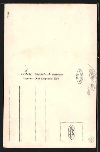 AK Küb /Semmering, Totalansicht aus der Vogelschau