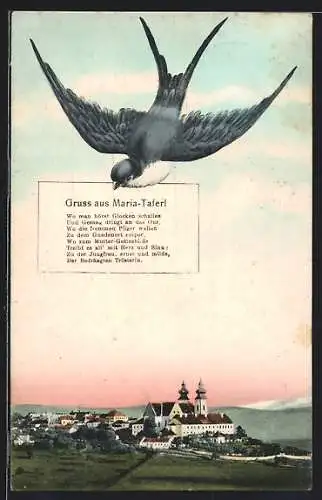 AK Maria-Taferl, Teilansicht mit Kirche und Schwalbe
