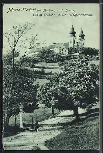 AK Maria-Taferl b. Marbach, Blick zur Wallfahrtskirche