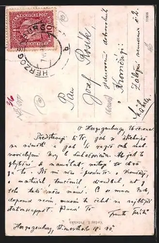 AK Herzogenburg, Ansicht von Burg und Turm