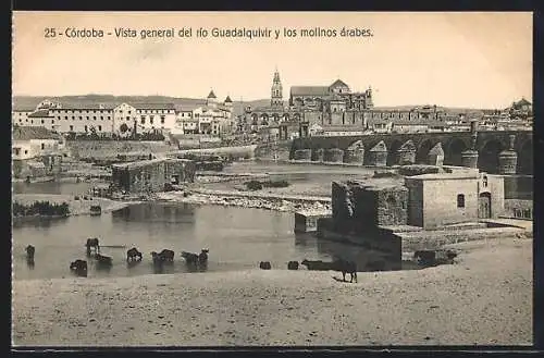 AK Córdoba, Vista general del río Guadalquivir y los molinos árabes
