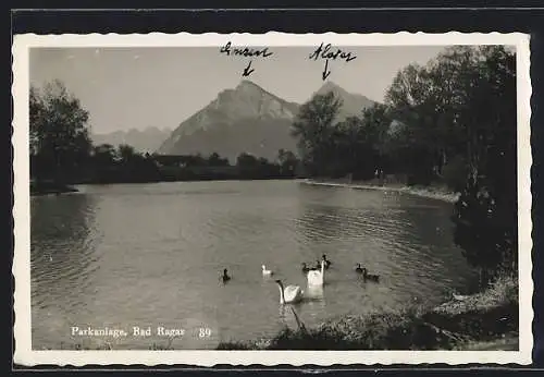 AK Bad Ragaz, Schwäne und Enten auf dem Teich der Parkanlage