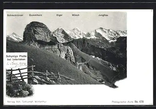 AK Interlaken, Schynige Platte mit Blick in die Alpen