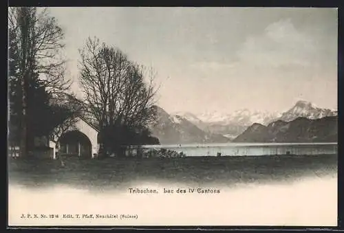AK Luzern, Tribschen, Lac des IV Canton um 1900