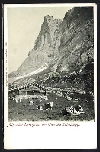 AK Grindelwald, Alpenlandschaft an der Grossen Scheidegg