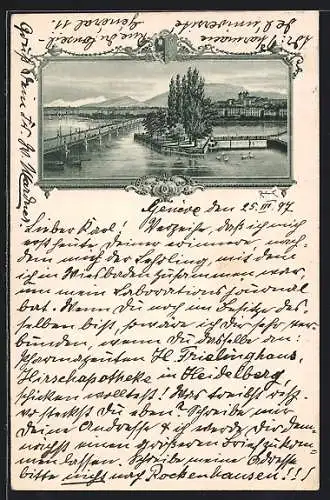 AK Genève, Seepartie mit Brücke und Schwänen