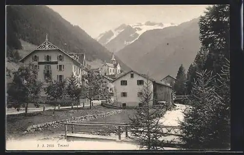 AK Trient, Ortsansicht mit dem Hotel im Bergidyll