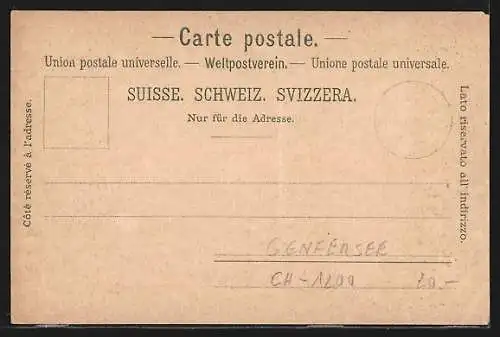 Lithographie Lac Léman, Segelboote und ein kleiner Dampfer auf dem See