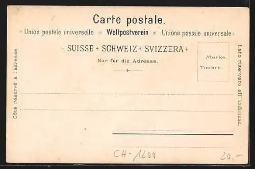 Lithographie Geneve, Victoria Hall, Strassenpartie im Zentrum