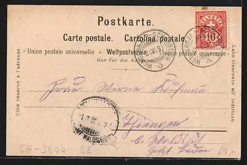 Lithographie Interlaken, Panorama