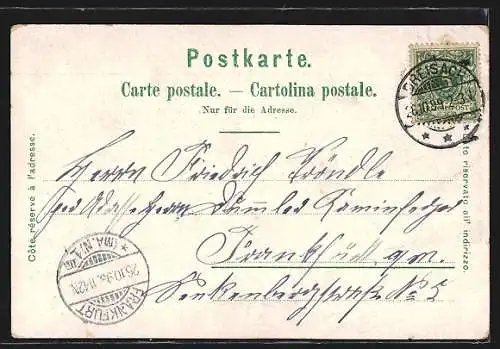 Lithographie Basel, Panoramaansicht, St. Elisabethenkirche, Theater