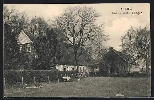 AK Ankum, Hof Linesch Tütingen