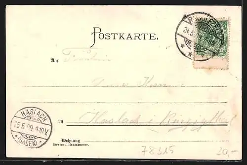 Künstler-AK Carl Biese: Radolfzell, Totalansicht, Schefflervilla Seehalde